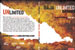 Baja Unlimited DVD Cover